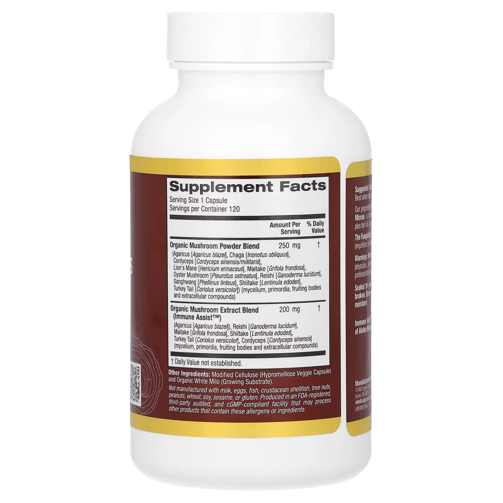 Buy Original MushRex Plus Mushroom Complex Pakistan