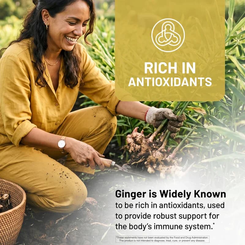 NatureWise Organic Ginger Root 1200mg Capsules Price in Pakistan