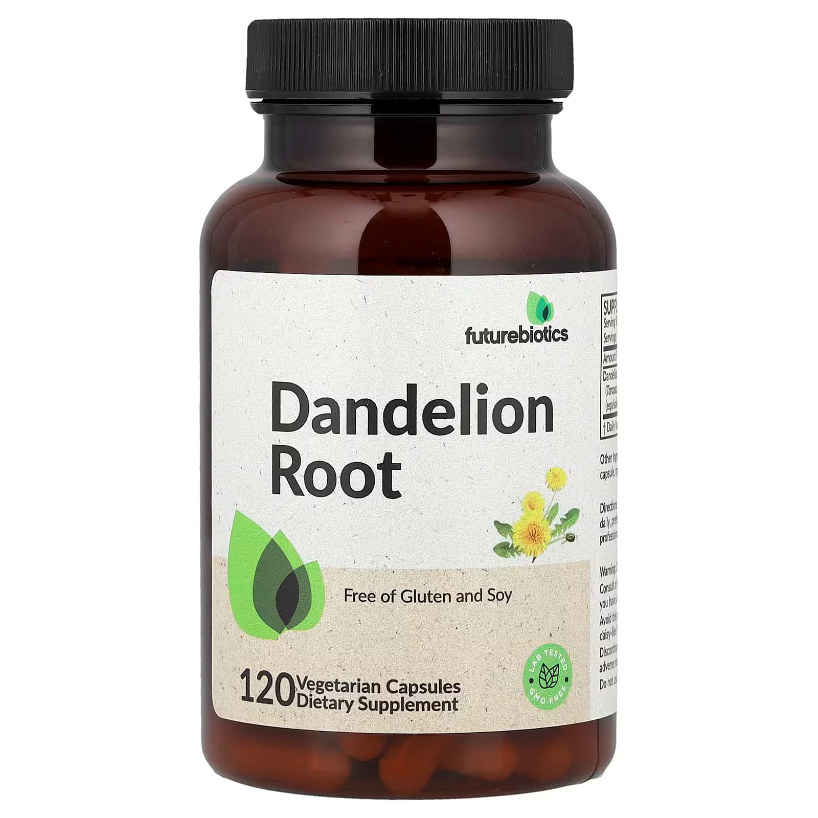 Futurebiotics, Dandelion Root 120 Vegetarian Capsules — Futurebiotics — Capsule — in Pakistan