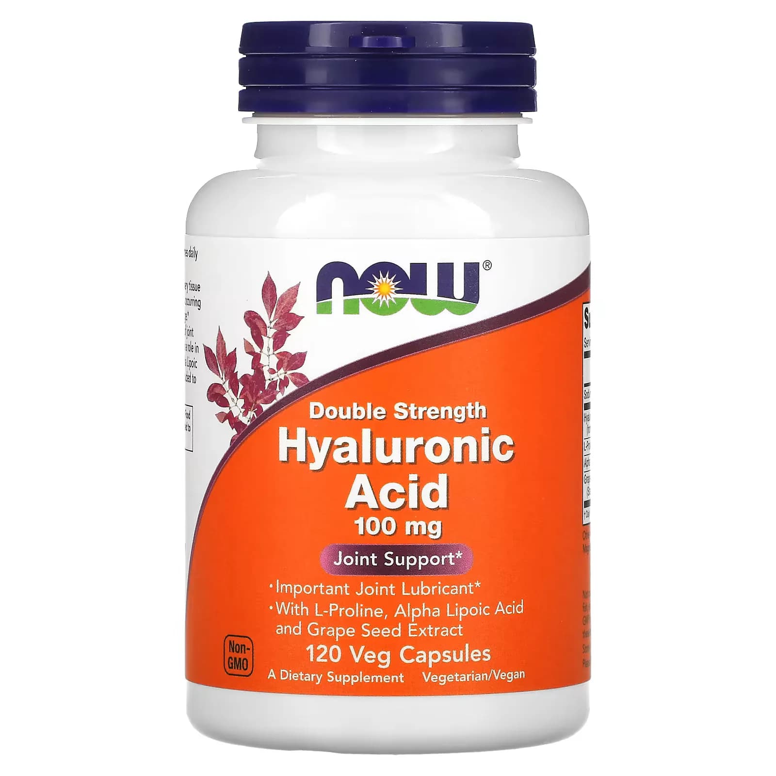 NOW Foods Hyaluronic Acid with L-Proline, Alpha Lipoic Acid and Grape Seed Extract  100mg Veg Capsules