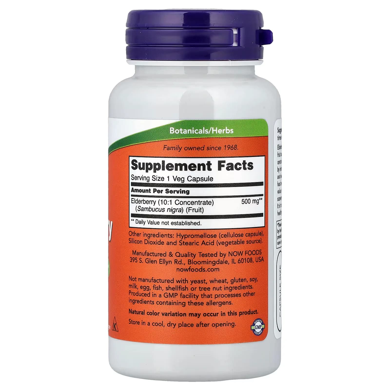 NOW Foods Elderberry 500mg 60 Veg Capsules Pakistan HerbalMart
