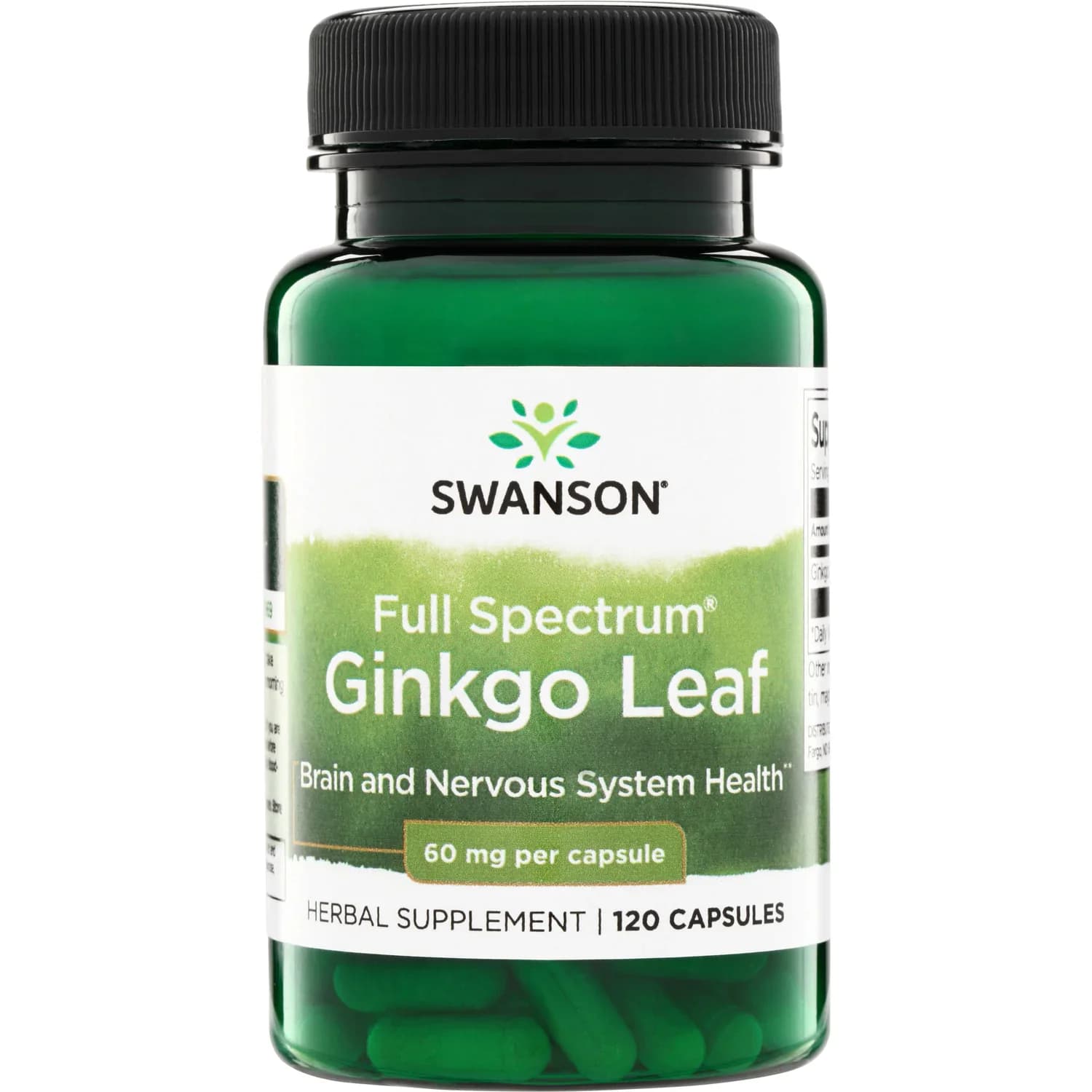 Swanson Vitamins Ginkgo Biloba Extract Standardized 120mg 100 Vegan Capsules — Swanson — capsule — in Pakistan