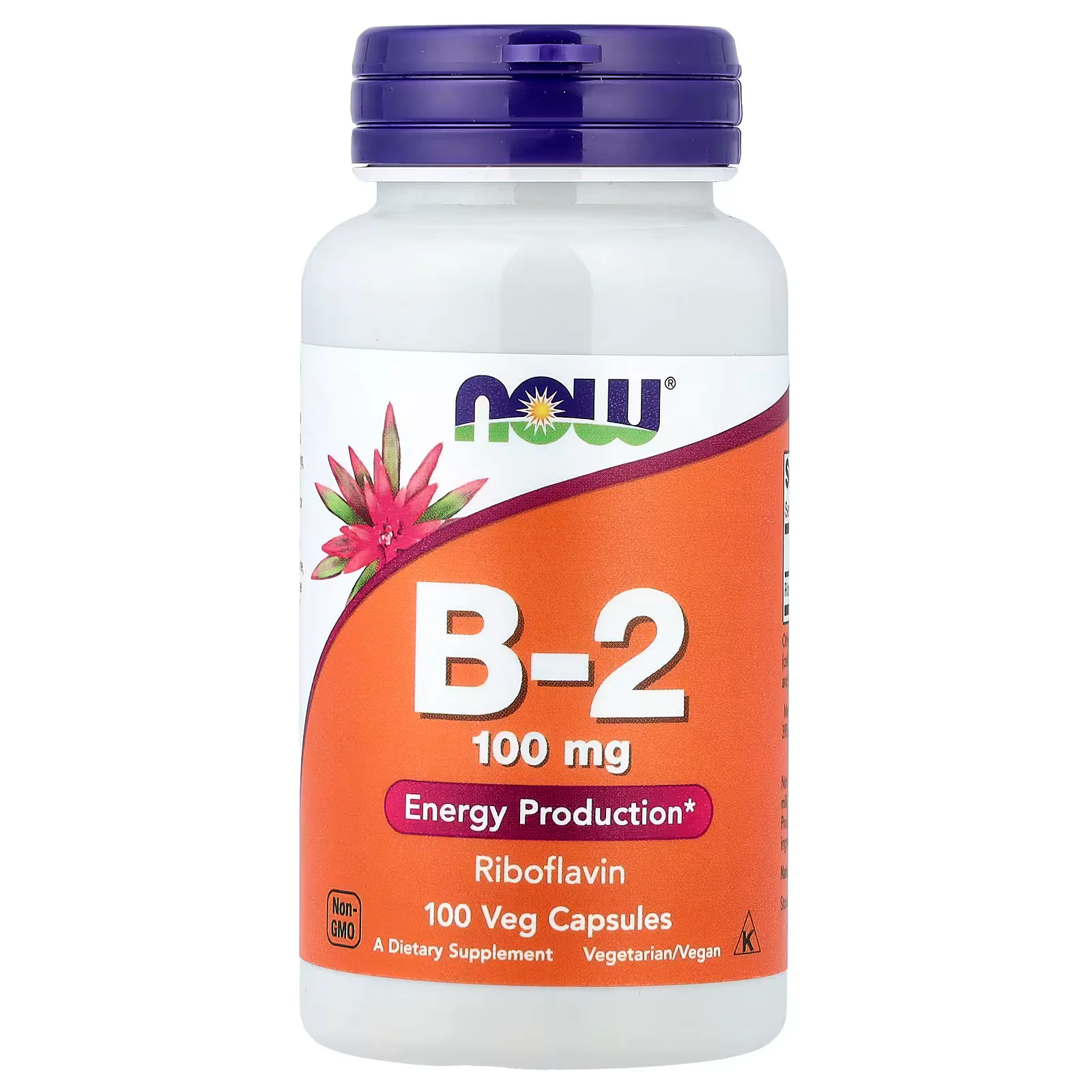 NOW Foods B-2 100mg 100 Veg Capsules