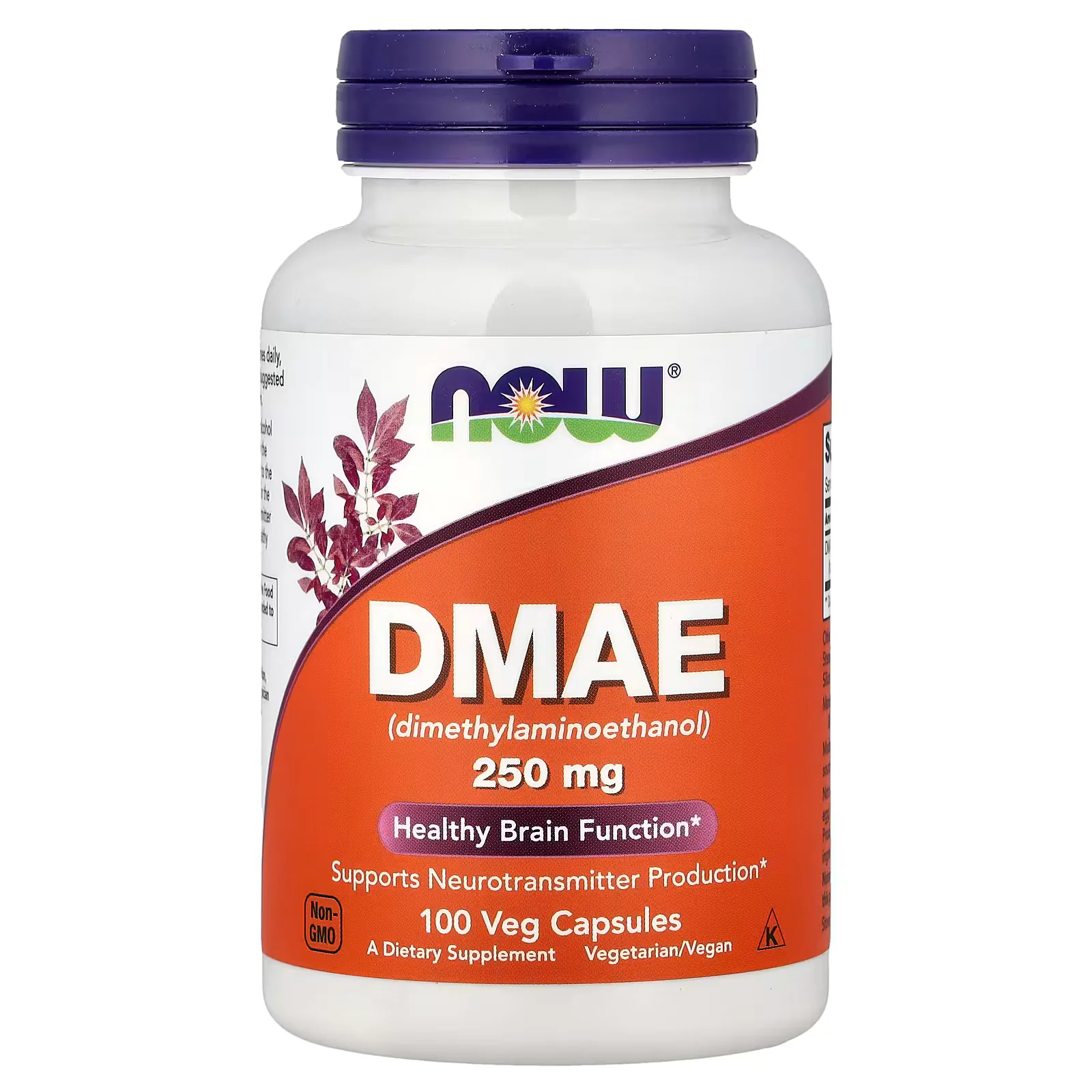 NOW Foods DMAE 250mg 100 Veg Capsules