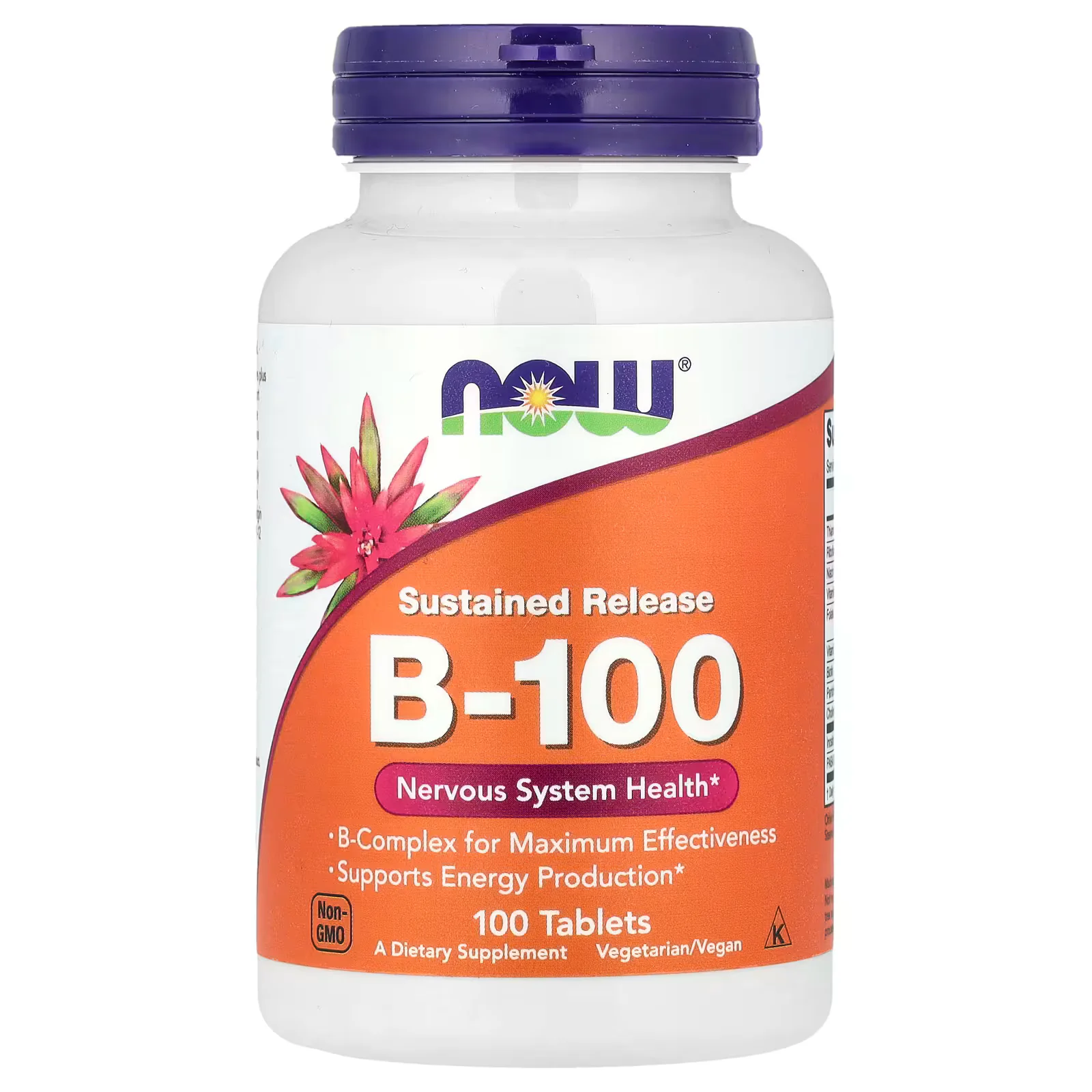 NOW Foods Sustained Release B-100 100 Tablets